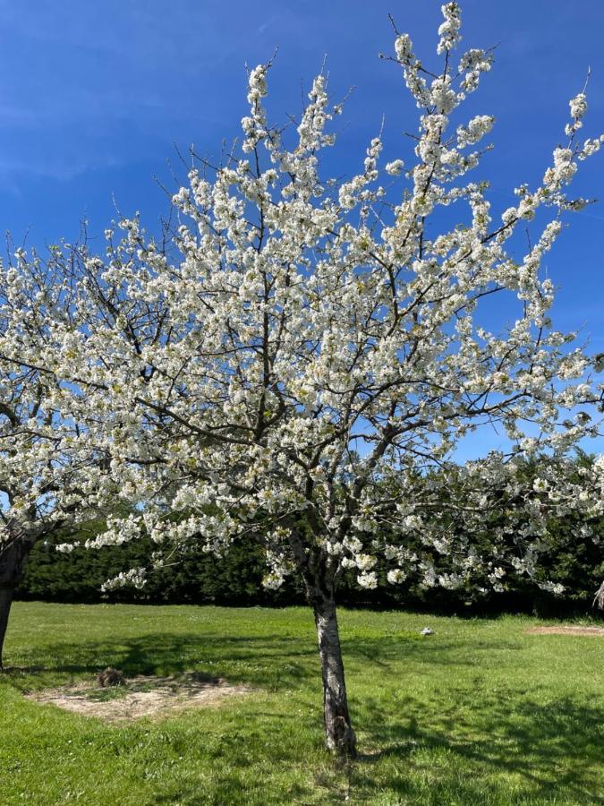32 Parc Des Sports Chez Catherve Saint-Medard-de-Guizieres Екстериор снимка